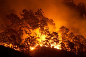 Tips for Wildfire and House Fire Preparedness - Emergency Essentials