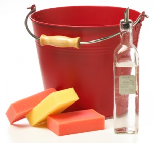 iStock_000011559112XSmall_cleaning bucket with vinegar