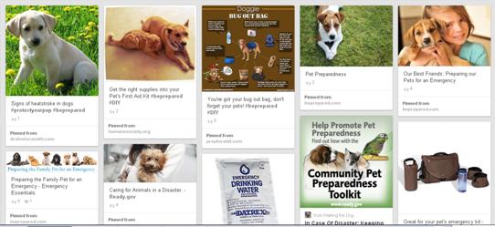 Pinterest Pet Preparedness board 