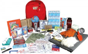 ReadyWise I One-Person Emergency Kit