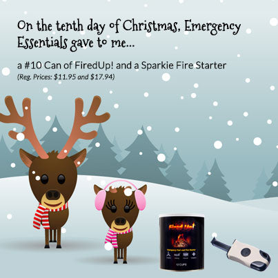 12 Days of Giveaways--Day 10: Fired Up! and Sparkie Fire starters