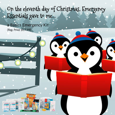 12 days of Giveaways--Day 11: Basics Emergency Kit