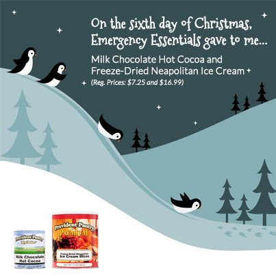 12 Days of Giveaways-Day6-Hot Cocoa and Freeze Dried Ice Cream