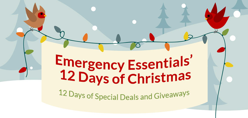 12 Days of Christmas Giveaways!
