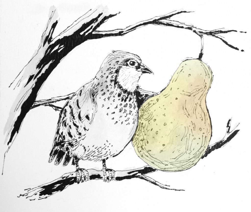 12 Days of Christmas - A Partridge in a Pear Tree