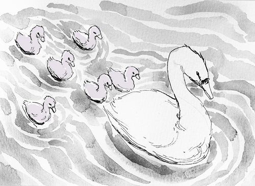 12 Days of Giveaways from Emergency Essentials - Day Seven - 7 Swans a-Swimming