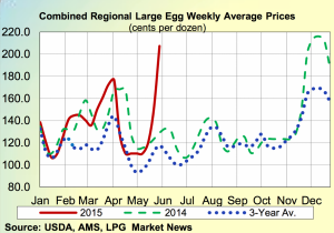 Egg prices caused by bird flu