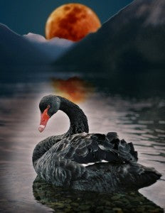 Blood moon and black swan