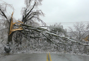 Oklahoma Ice Storm Tree - via NOAA