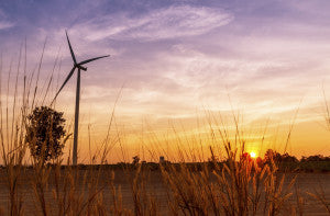 Wind turbines power generator on sunset at farmer field off grid