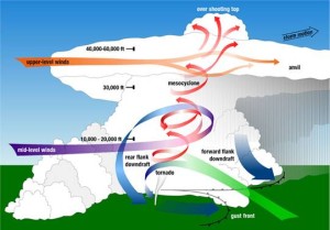 Tornado Diagram