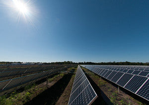 Princeton Microgrid - princeton.edu