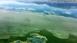 Utah Lake Algae Bloom - via KUTV - extreme heat