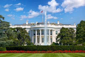 The White House in Washington DC, United States