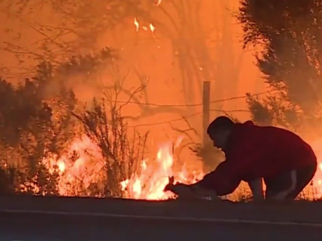 Man Saves Rabbit - via Breitbart Protecting Pets from Wildfire