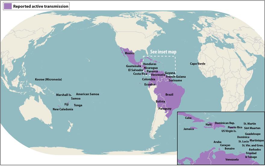 6 Questions to Ask Yourself About Zika Virus