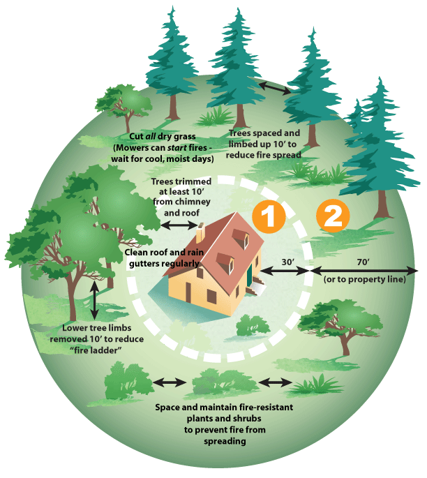 How to Defend Your Home From Wildfires