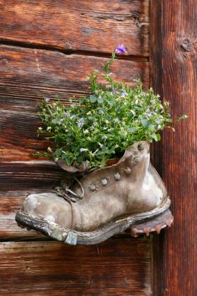 Thinking Outside the (Planter) Box