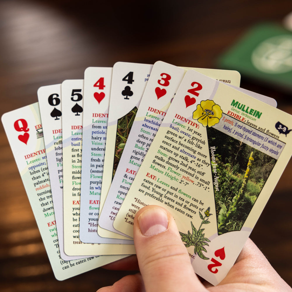 Edible Wild Foods Playing Cards