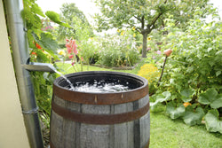 5 Uses for Rain Water - No Butts About It