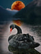 Who Needs Blood Moons When There Are Black Swans?