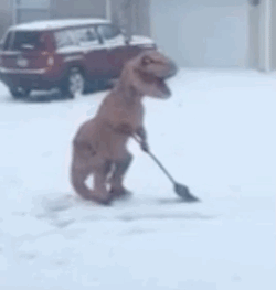 T-Rex Spotted Shoveling Snow During Blizzard: How People Avoided Cabin Fever During the East Coast Storm