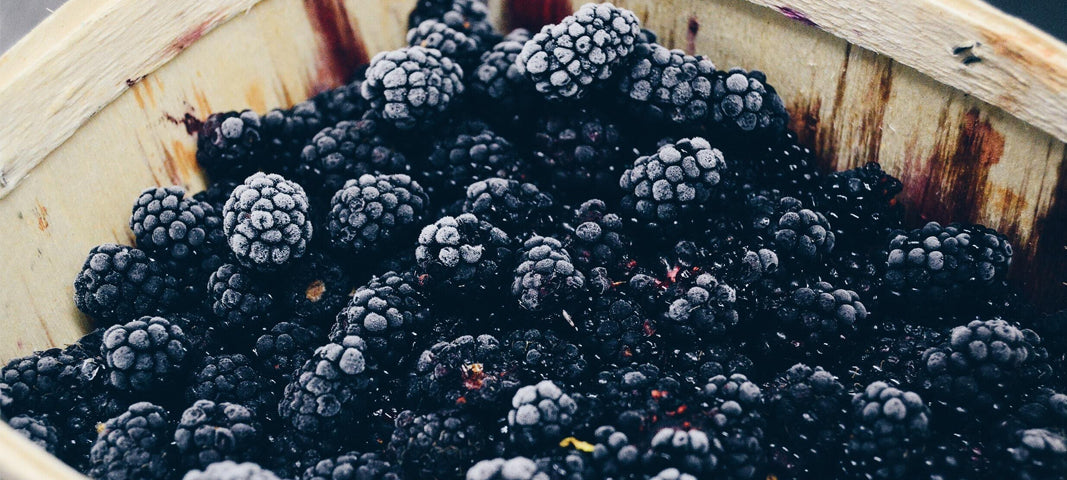 Delicious Blackberries