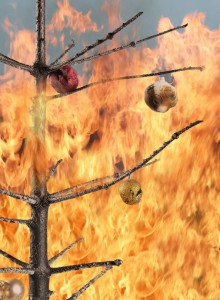 Prevent holiday fires in your home