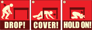 Drop Cover HOLD ON, NELLY! - Great ShakeOut