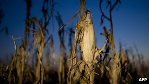 Drought conditions are increasing the price of food