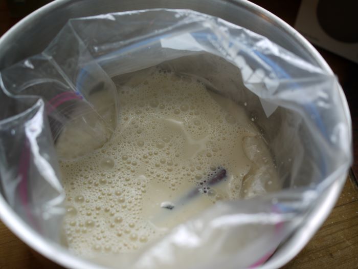 cream in a bag for ice cream making