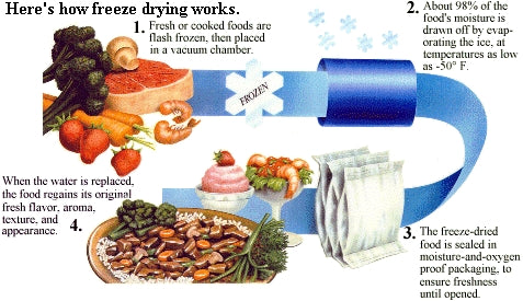 Oregon Freeze Dry_Freeze Drying Process