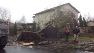 Tree Fell on House - via The Weather Network - atmospheric river