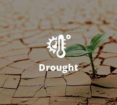 Drought Preparedness Image