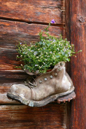 Flowers in an old boot