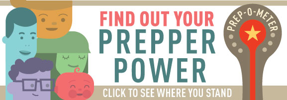 Replace Out Your Prepper Power