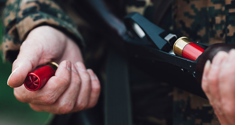 Hunting Small Game And Proper Gun Selection – Be Prepared - Emergency  Essentials