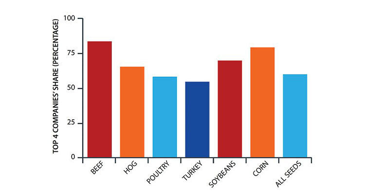 Top 4 Companies Share of Food Market